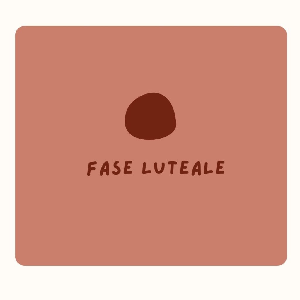 Skin Care Fase Luteale